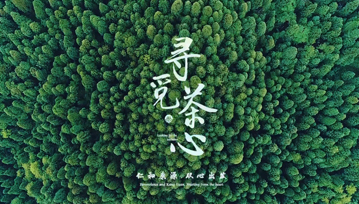&#31435;&#21338;