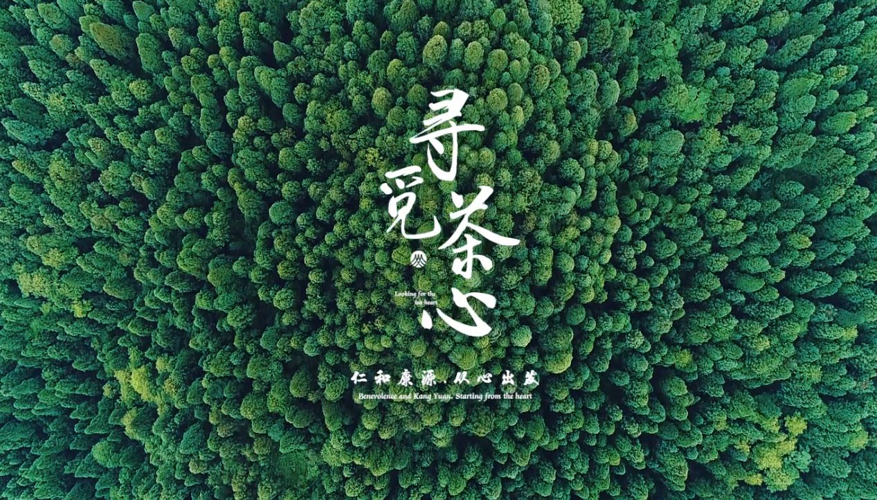 &#31435;&#21338;