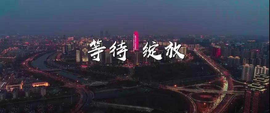 &#31435;&#21338;